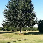 In Campagna Vicino Autostrada - Carpi Lägenhet Campogalliano