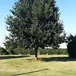 In Campagna Vicino Autostrada - Carpi