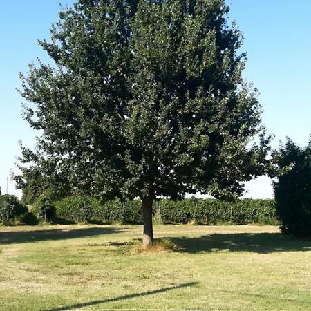 In Campagna Vicino Autostrada - Carpi 公寓 坎波加利亚诺