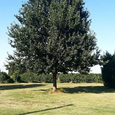 In Campagna Vicino Autostrada - Carpi