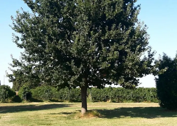 In Campagna Vicino Autostrada - Carpi Lejlighed Campogalliano